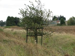 Greenwich Meridian Marker; England; Lincolnshire; Holbeach